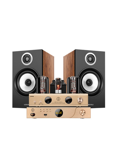 Youtang D538 Tube Amplifier Hifi Audiophile-Grade Cd Player Combination Audio Home Bluetooth Tube Speaker Set