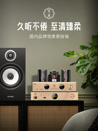 Youtang D538 Tube Amplifier Hifi Audiophile-Grade Cd Player Combination Audio Home Bluetooth Tube Speaker Set