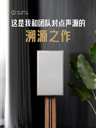 Utang T601 Koaxiallautsprecher HiFi-Fieberklasse 6,5 Zoll passive Zwei-Wege-Regalbox High-Fidelity-Audio