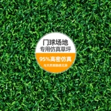 Курс Golf Stadium Course Artificial Lifeline Map Map