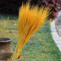 100 золотистого желтого цвета (высота около 50 см)