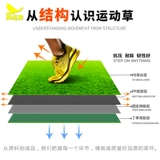 Упаковка Wagger Football Stadium Пять или семи человек сделали работники симуляции спортивных спортив