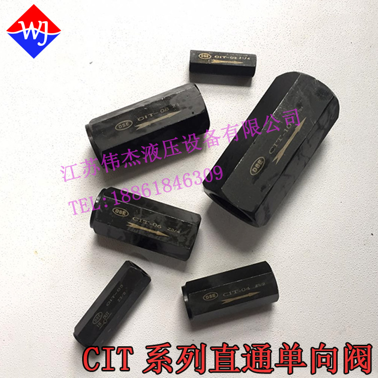 Hydraulic straight stop inverse valve CIT-02 CIT-03 04 CIT-06 CIT-10 12 CIT-08 12 CIT-08