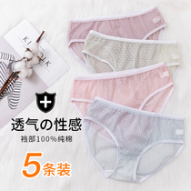Zhimu 5-pack panties womens lace mid-low waist transparent sexy hot ice silk large size cotton crotch underpants thin summer