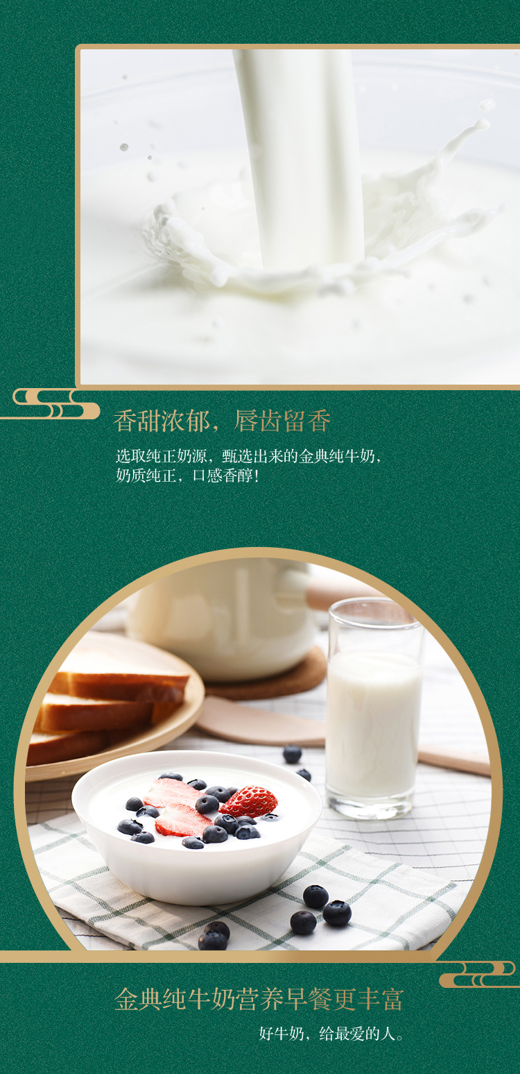 伊利 金典 高蛋白纯牛奶 利乐钻包装 250ml*16盒 图4