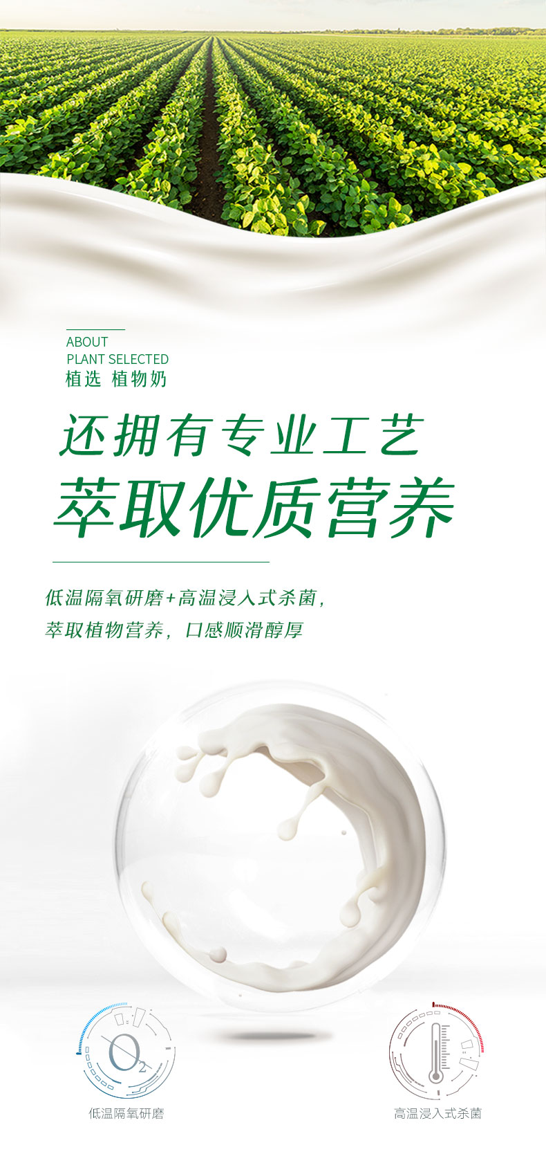 伊利植选 6.0高蛋白豆乳饮料 315ml*10瓶 0蔗糖0反式脂肪 图4