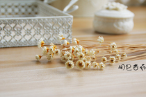 Small star flower zakka small daisies dried flowers simulation flowers happy flowers bell grass vase flower arrangement photo background props