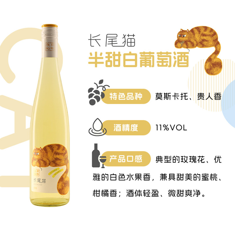 探索现代家居美学中的葡萄酒储存新伙伴