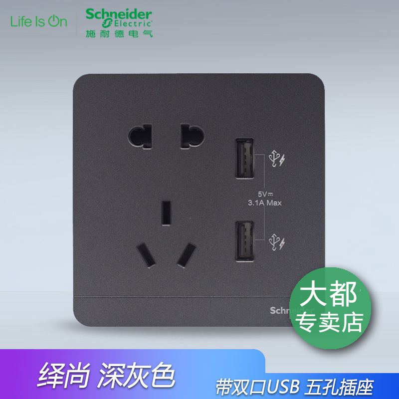 Schneider Fashion Dark Grey with Dual USB Five-hole socket 3 1A ipad Phone charge socket