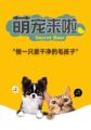 爱尚汪宠物用品