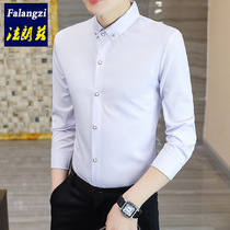 Shirt male long sleeve fit Korean version buckle collar pure color casual mens shirt elastic anti-wrinkle and burn-free spring and autumn-inch