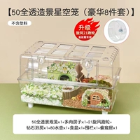 [50高透仓鼠笼-多肉套餐-豪华款]