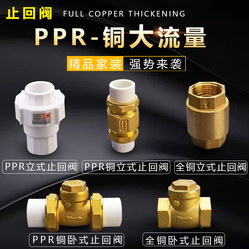 Thickened ppr check valve Double live connection all-copper horizontal check valve Water pump pipe double hot melt check valve 4 points 6 points