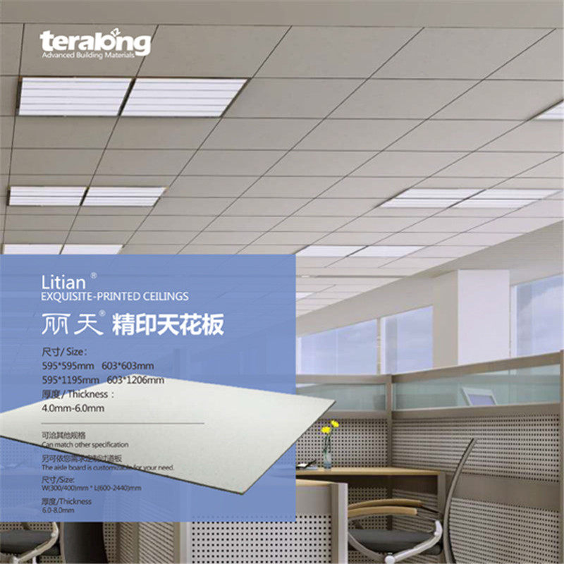 Suzhou Tairong Perforated Calcium Silicate Board 600 600 Sound
