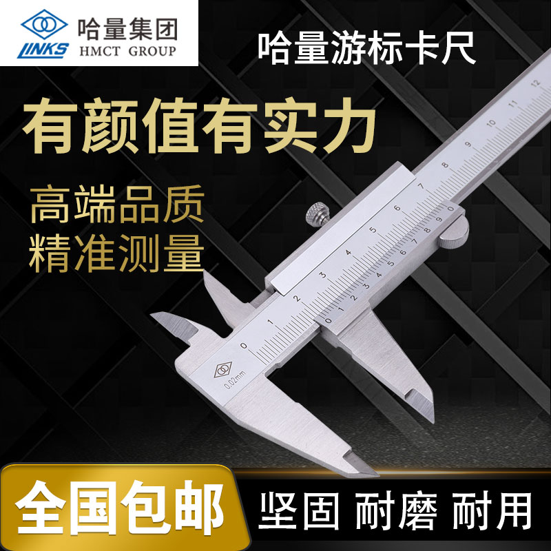 Halong stainless steel vernier caliper 0-150-200-300-500-1000mm mini oil standard caliper High precision