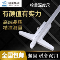 Har depth caliper with meter depth gauge electronic digital display depth vernier caliper stainless steel 0-200-300mm