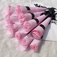 Одиночная гвоздика [вентилятор]