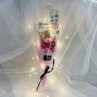 Сумка для лампы Gypsophila [2 розовых гвоздики] Карточка