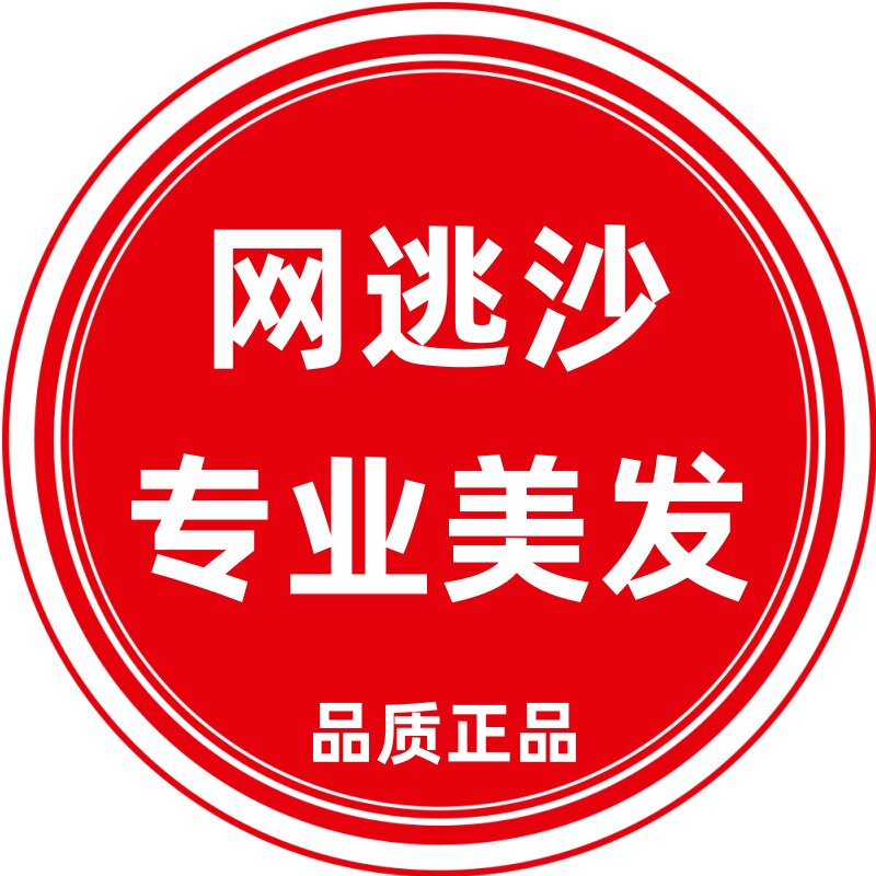 网逃沙专业美发的LOGO