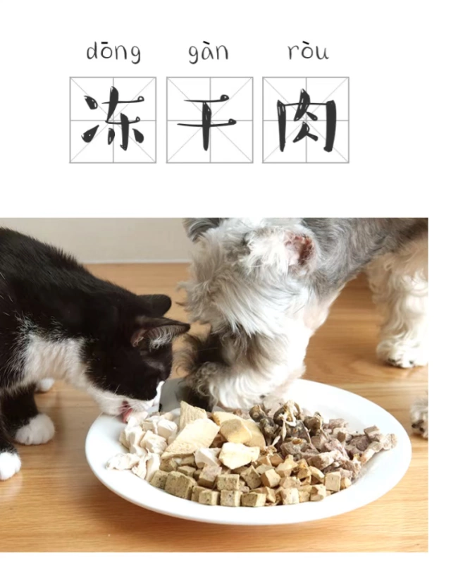 Pet cat dog snack đông khô thịt khô 100g mèo con vào thức ăn cho mèo trẻ thịt đông khô thịt gà