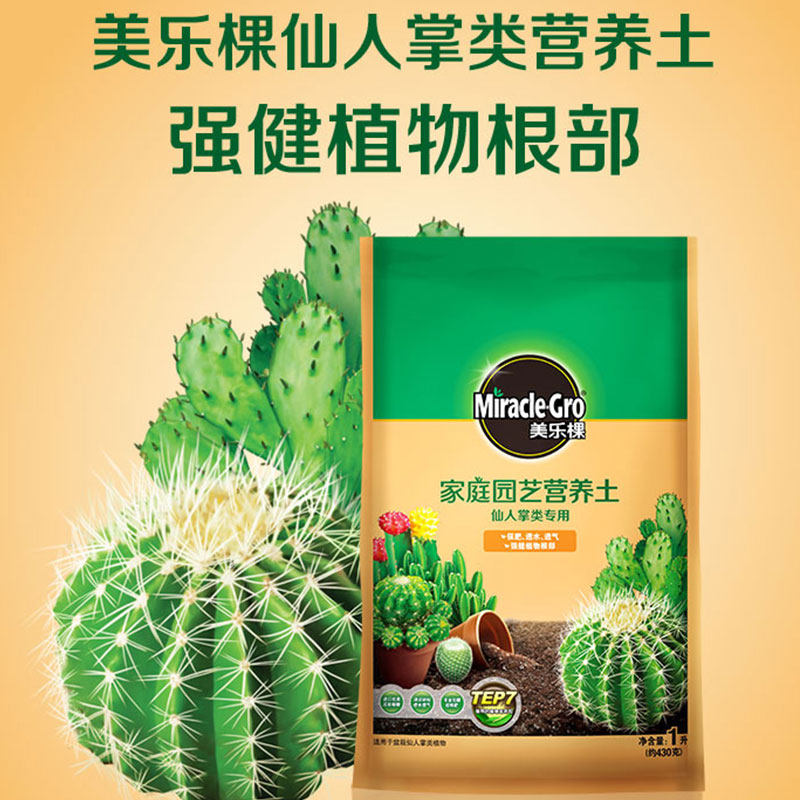 Beauty Music Tree Cactus cactus Balls Fairy Clay Potted Plant Indoor Multimeat dedicated trophic soil planting soil
