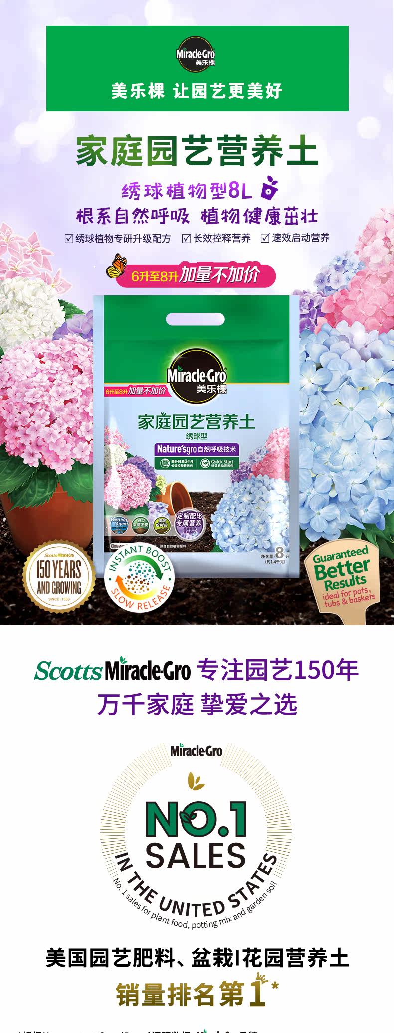 Hydrangea 8l1_01.jpg
