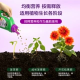 Meileti Garden Art Fleder Federation Federator