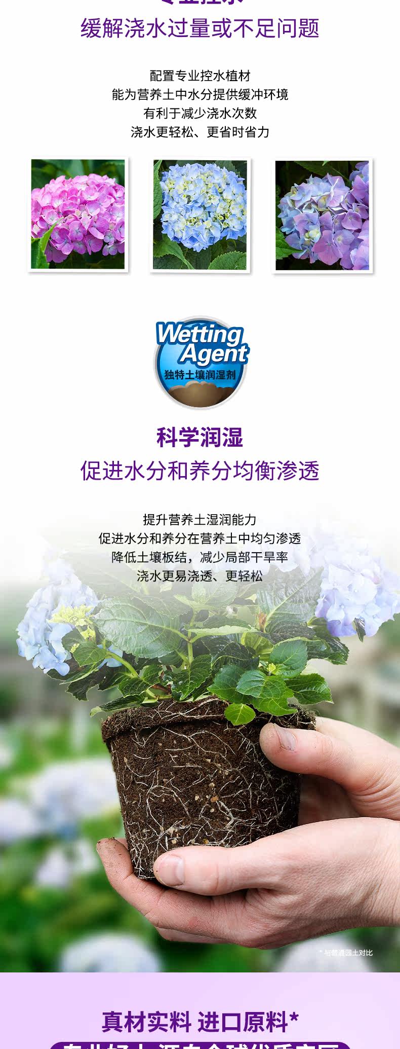 Hydrangea 8l2_03.jpg