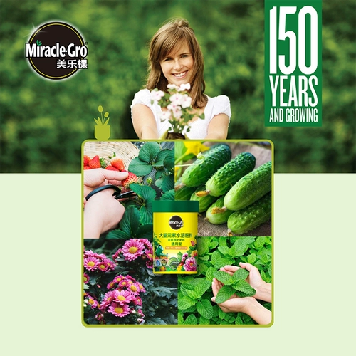 Семейство Meluki.