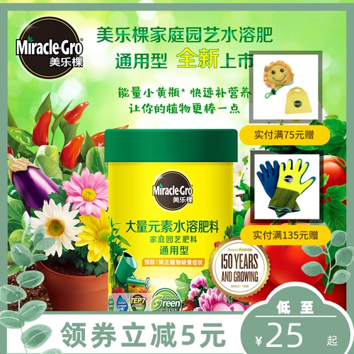 Семейство Meluki.