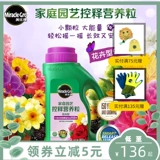 Meileti Garden Art Fleder Federation Federator