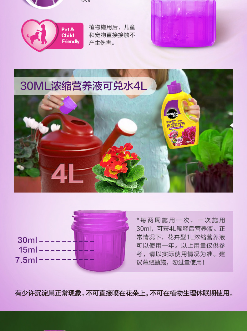 Flower-3_04.jpg