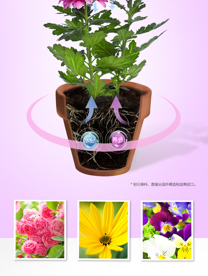 Flower-2_05.jpg