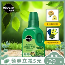 Meluck green dill special nutrient solution Plant potting universal compound flower fertilizer Home gardening liquid fertilizer