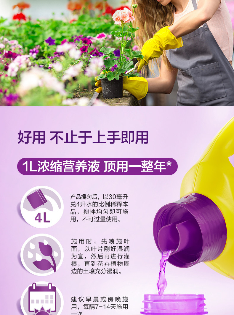 Flower-3_03.jpg