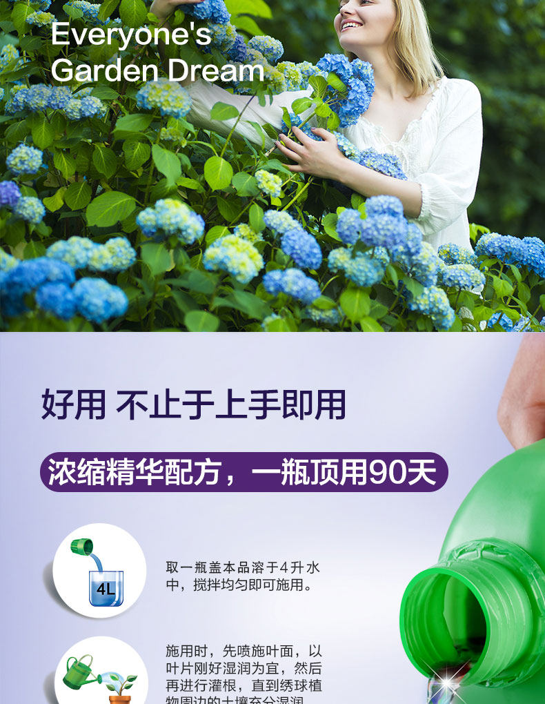 Hydrangea 20-3_02.jpg