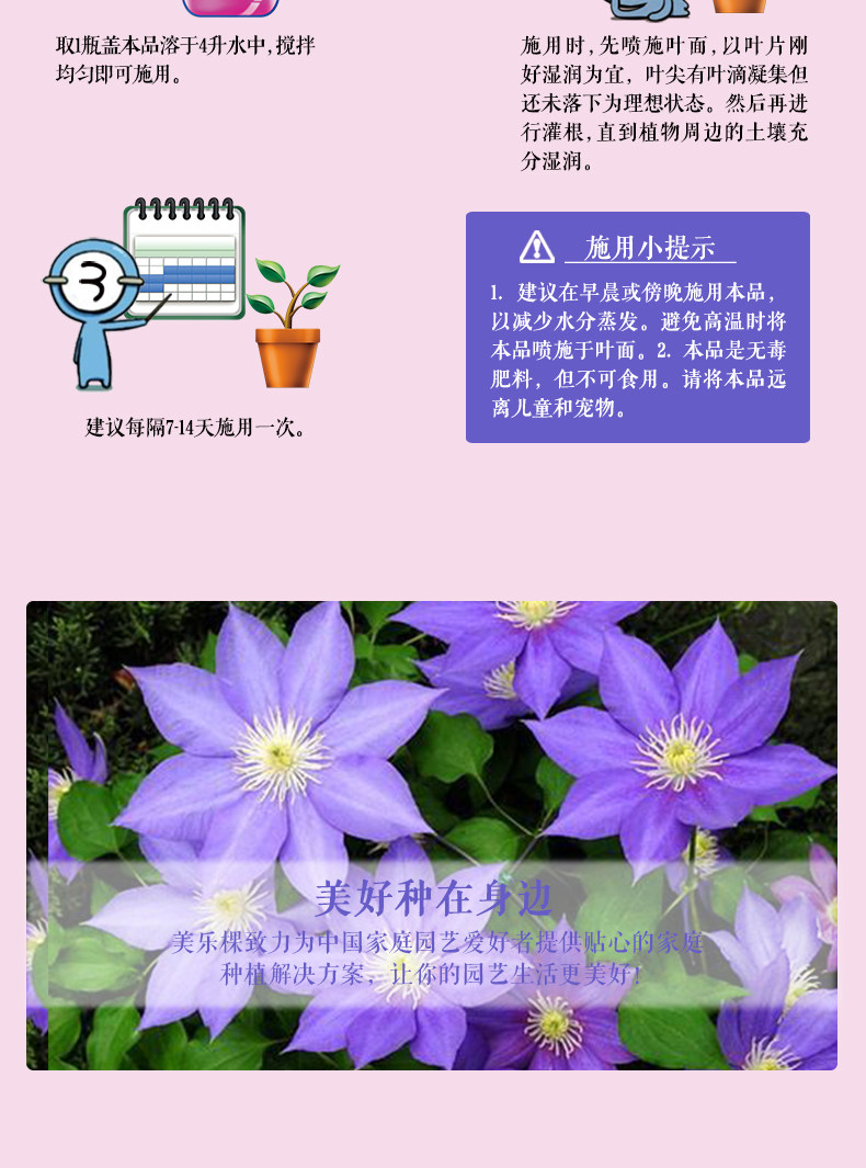 D -_ _ d -2_03.jpg