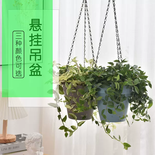 Товары от 印山旗舰店