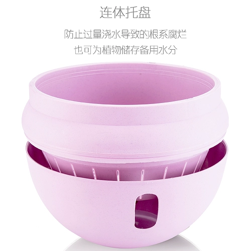 Поли -флеши висящая орхидея висящая цветочная горшка ленивая сами -самим