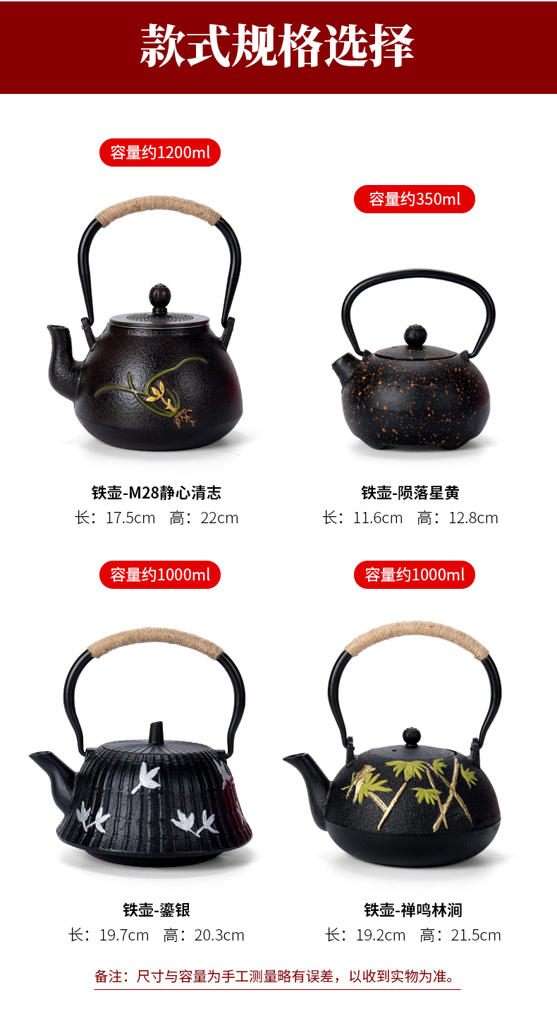Ronkin checking iron pot of cast iron kettle electric TaoLu boiled tea, Japanese tea taking teapot single pot of restoring ancient ways