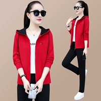 Красный чай улун Да Хун Пао