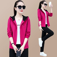 Роза красная