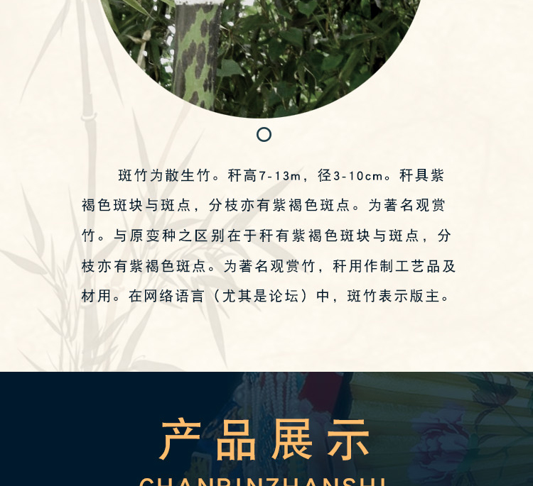 Jinghu nhạc cụ tre xipi hai màu vàng Jinghu Zizhu Jinghu Jinghu cung Jinghu hộp nhạc cụ Jinghu lựa chọn video - Nhạc cụ dân tộc mua đàn cổ cầm