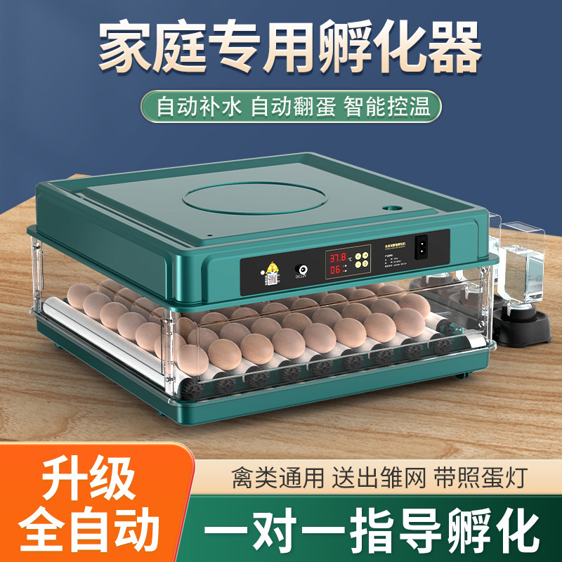 小型家庭用孵卵器。ひよこ、アヒル、ガチョウ用の全自動インテリジェント孵卵器。