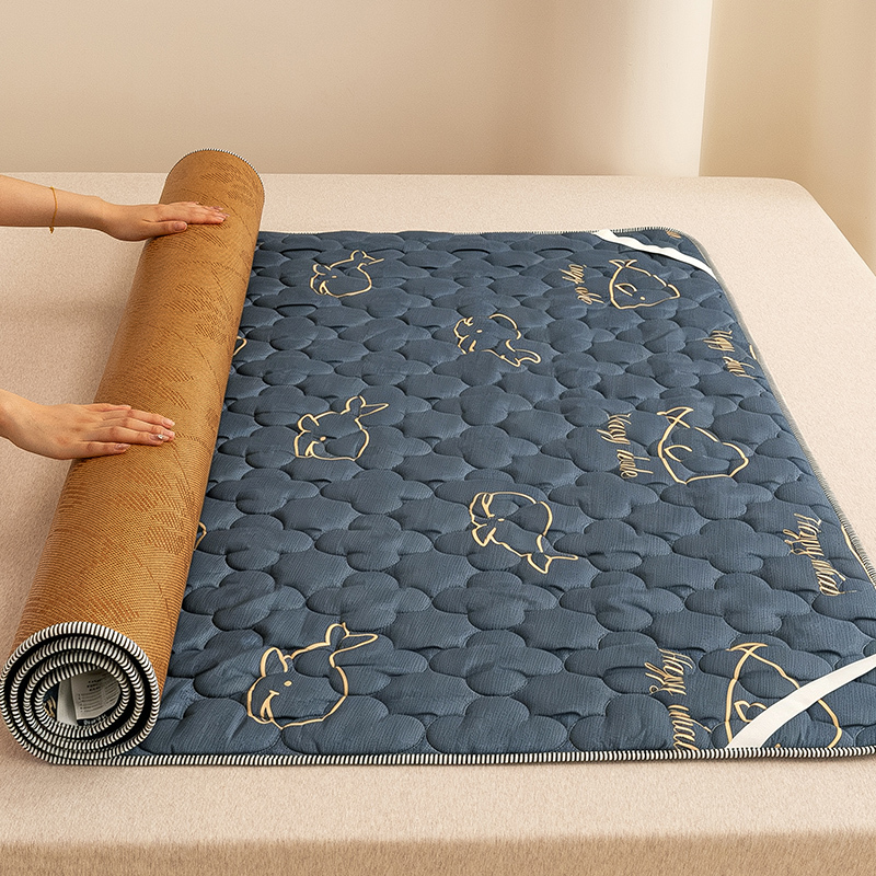 Class a Dual-Use Summer and Winter Cooling Mat Mattress 1.8 Double-Sided Soft and Hard Mat Foldable Student Dormitory Single 0.9m Class a Dual-Use Summer and Winter Cooling Mat Mattress 1.8 Double-Sided Soft and Hard Mat Foldable Student Dormitory Single 0.9m