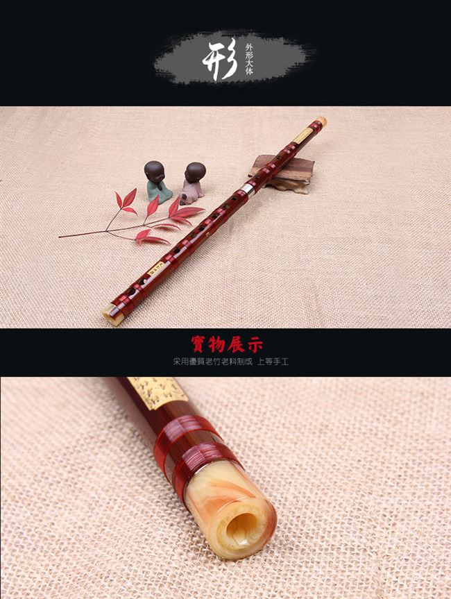 Magic Taoist COS sáo mới bắt đầu người lớn không có nhạc cụ nhập cảnh cao cấp chuyên nghiệp thổi sáo trúc - Nhạc cụ dân tộc đàn cổ cầm