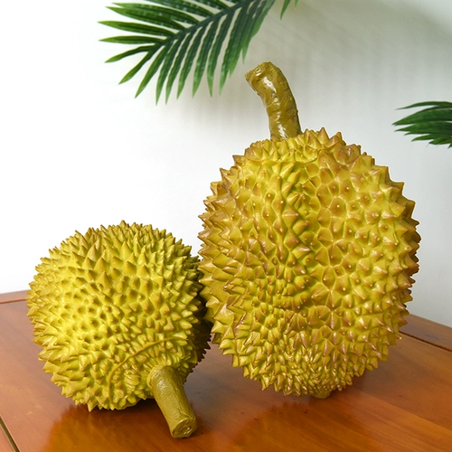 Моделирование модели фруктовых фруктов Durian модель фруктов и овощ