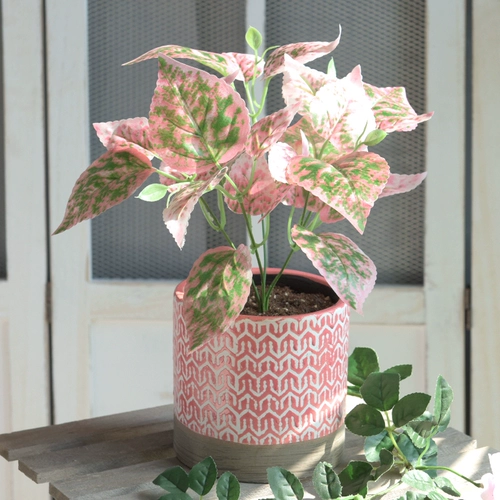 Моделирование растения стены зеленое растение фоновая стенка