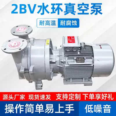 2BV series Water Ring Vacuum pump industrial high vacuum pump compressor