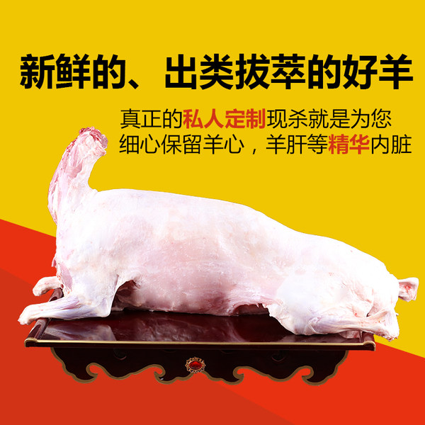 程鑫牧场 内蒙锡林郭勒 6月羔羊 羊肉 整只 净重25斤 天猫优惠券折后￥979.9包邮（￥1009.9-30）